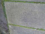 image of grave number 956765